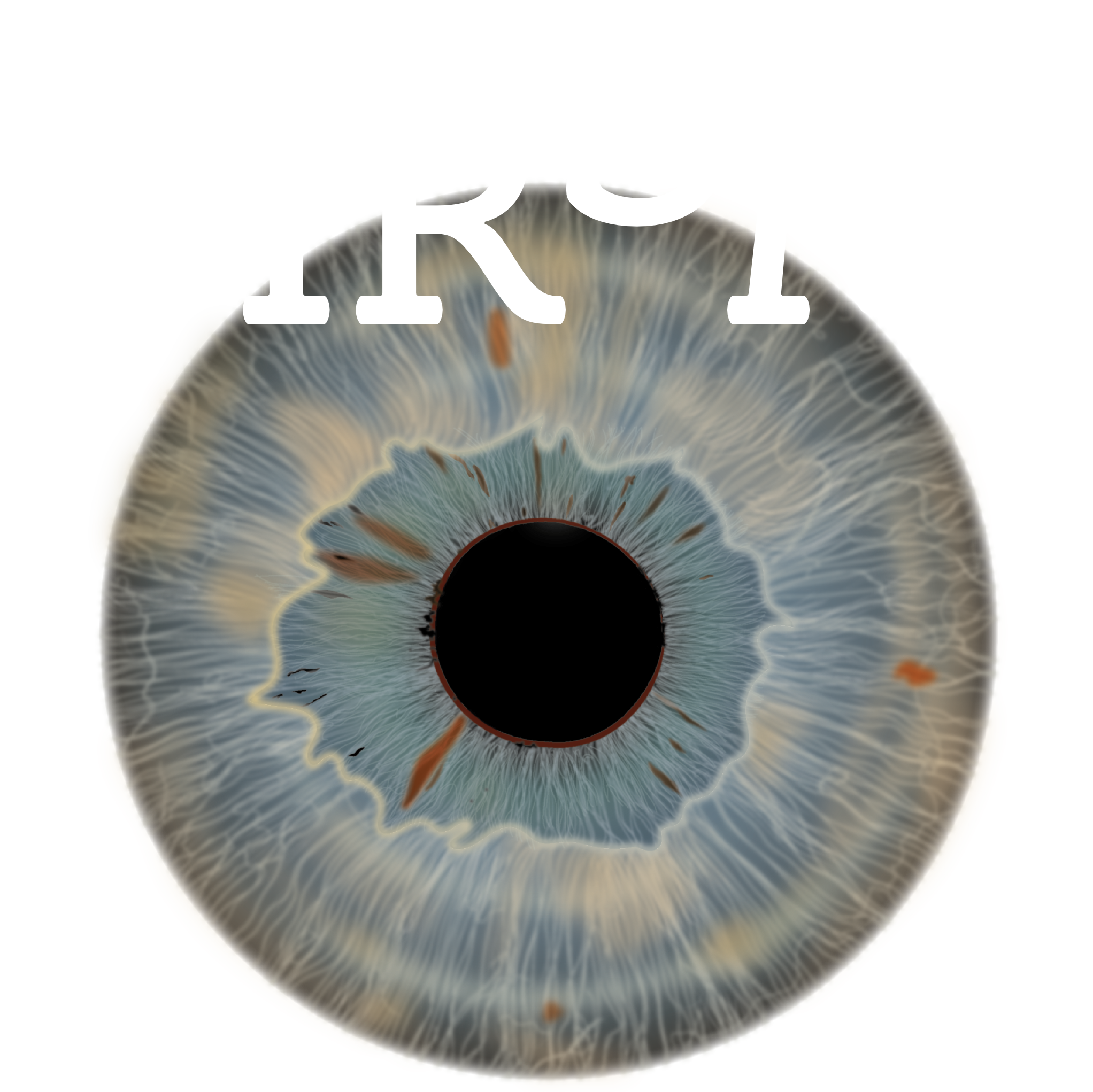 HRSM – Human Resources Sturm Management