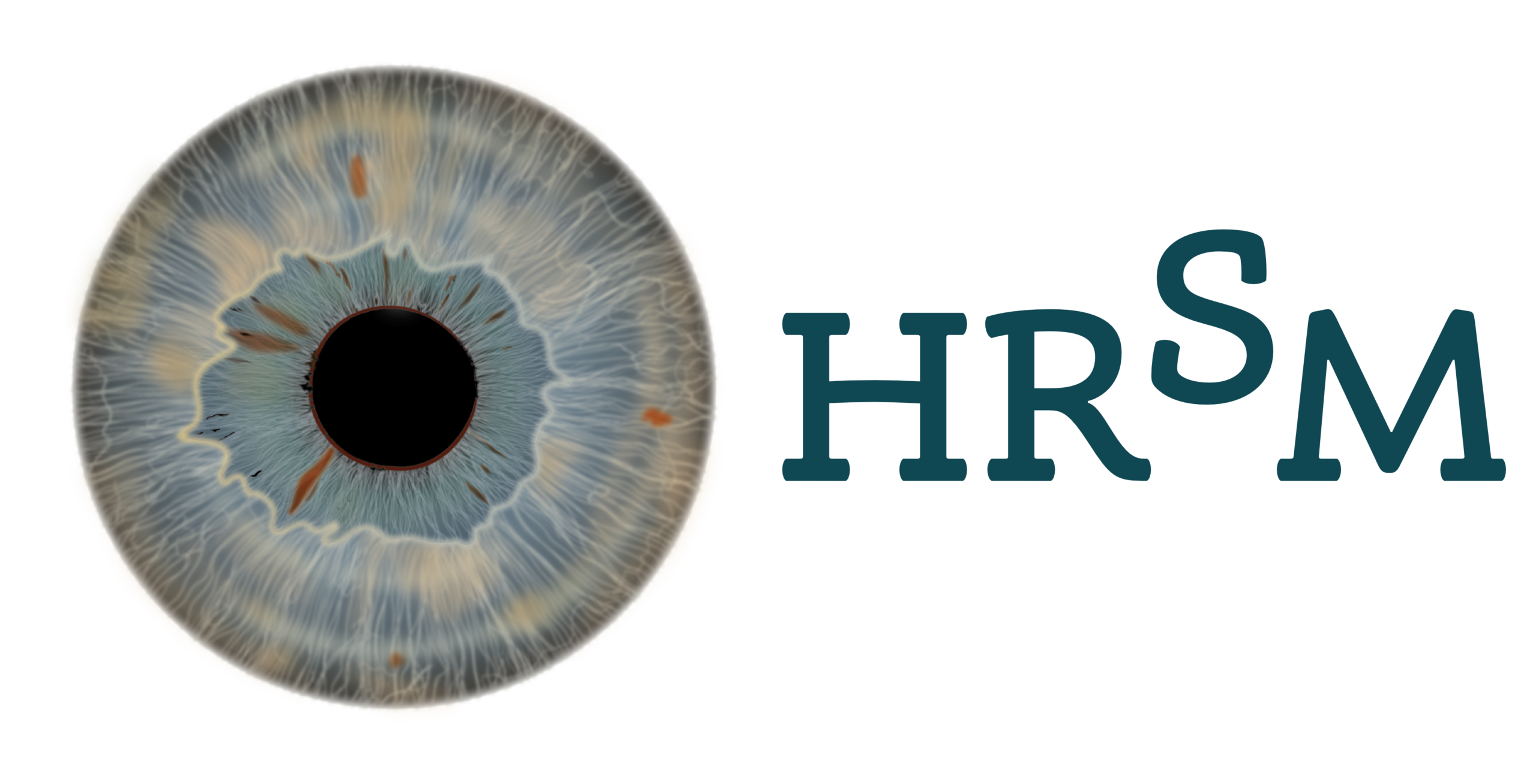 HRSM – Human Resources Sturm Management