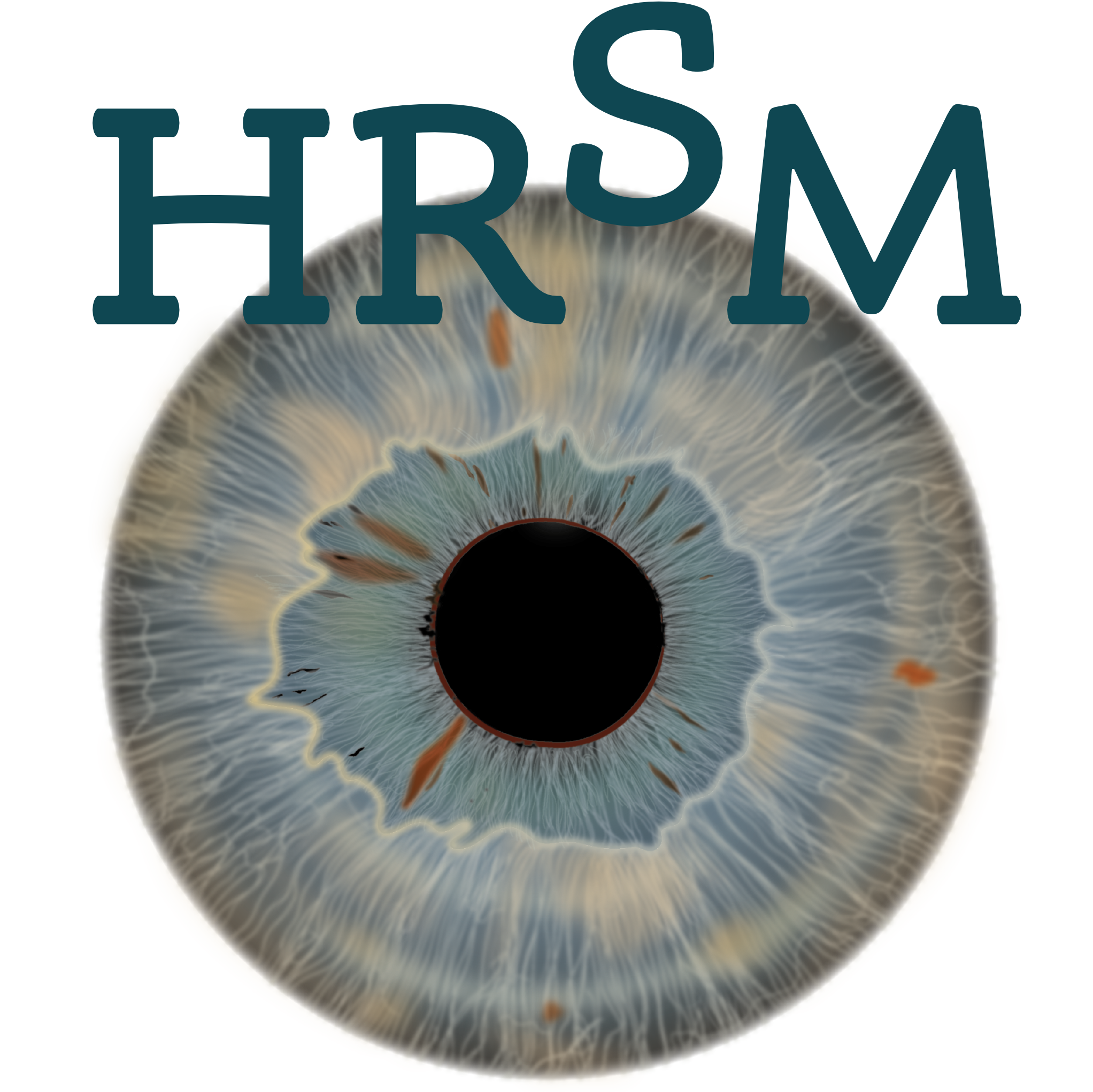 HRSM – Human Resources Sturm Management